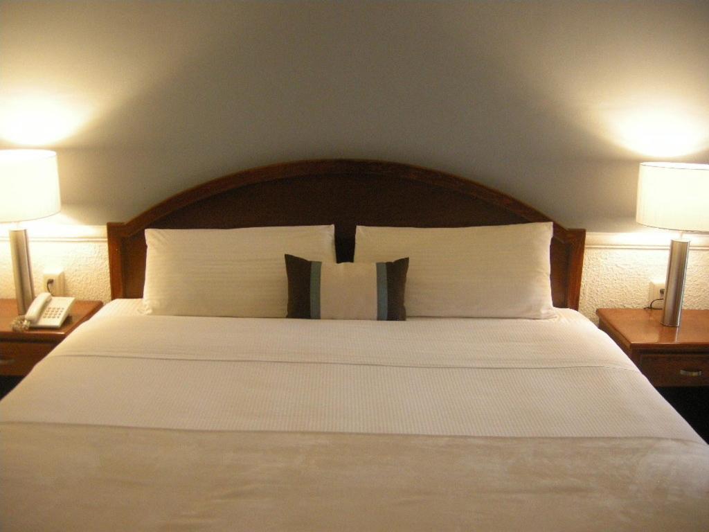 Scala Hotel Lagos de Moreno Værelse billede